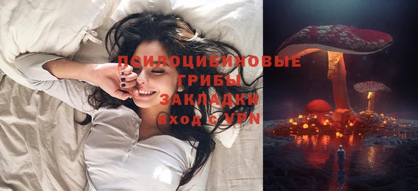 тгк Алексин