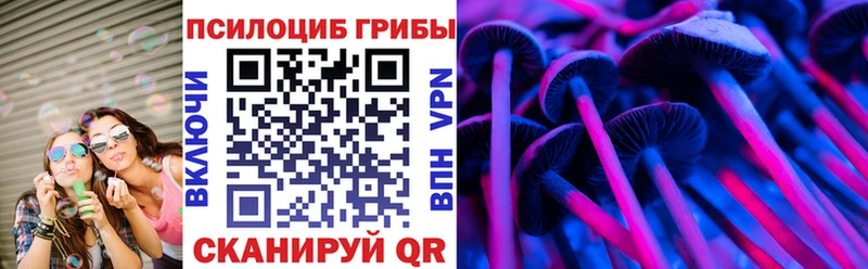 продажа наркотиков  Стародуб  мега ТОР  Галлюциногенные грибы Psilocybe 